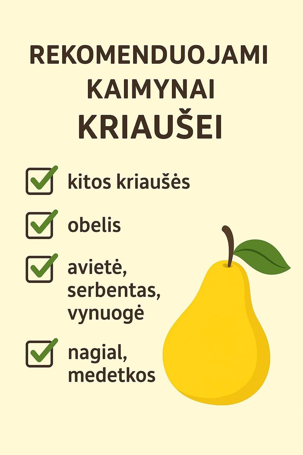 Ką galima sodinti prie kriaušės